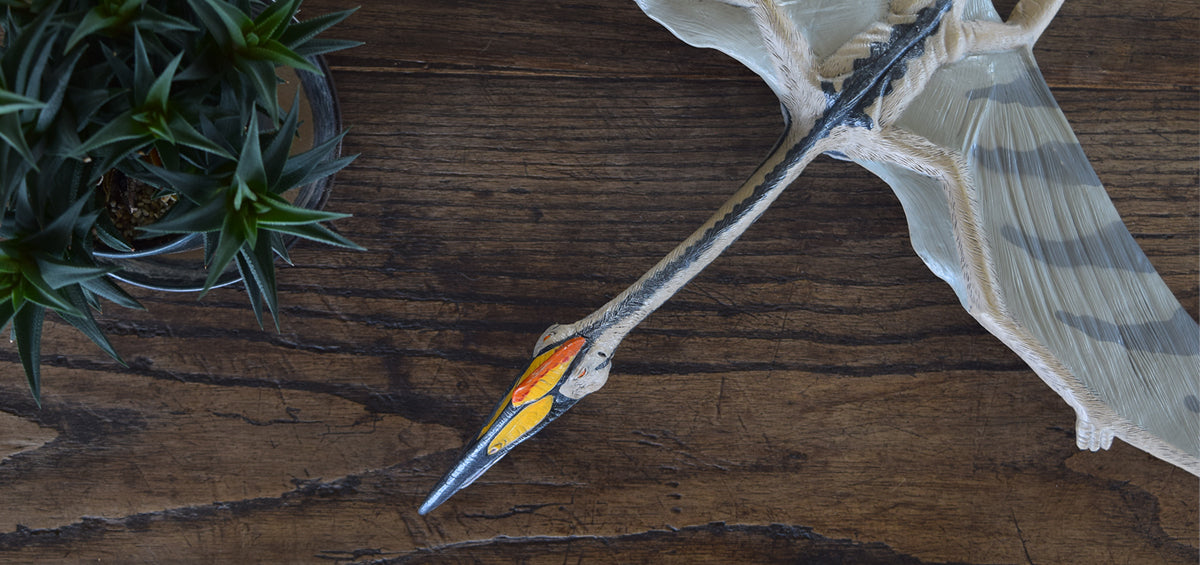 NEW ITEM：ケツァルコアトルス ビニールモデル – Favorite official