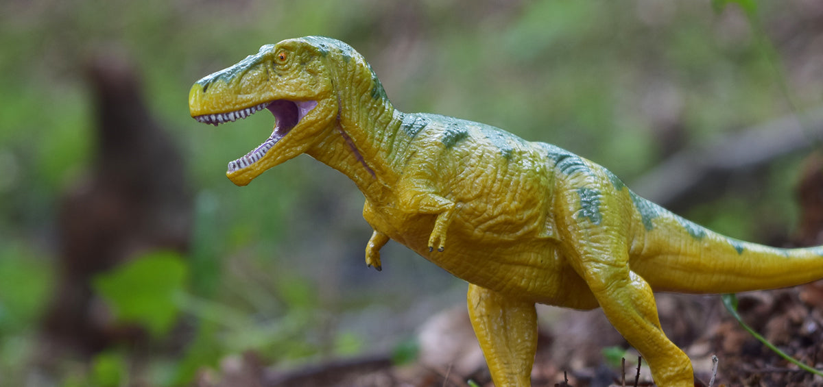 20200710_JOURNAL_1_1200x1200.