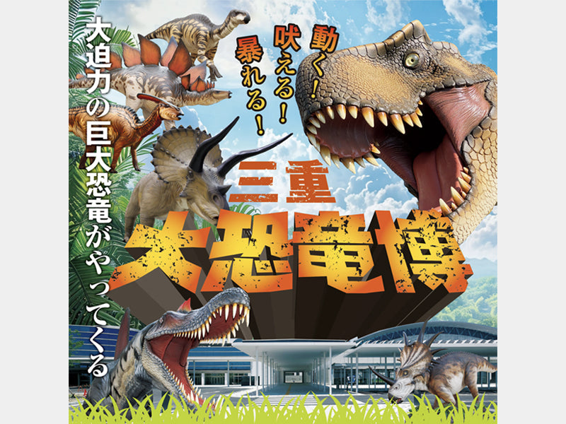 JN-20250326-top_1200x1200.jpg?