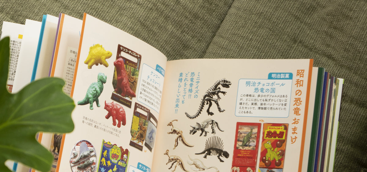 三浦トーイ　プテラノドン+資料付き(トンデモ恐竜大全）　当時物　恐竜 いきもの大図鑑 ディスプレイモデルコレクション 恐竜03