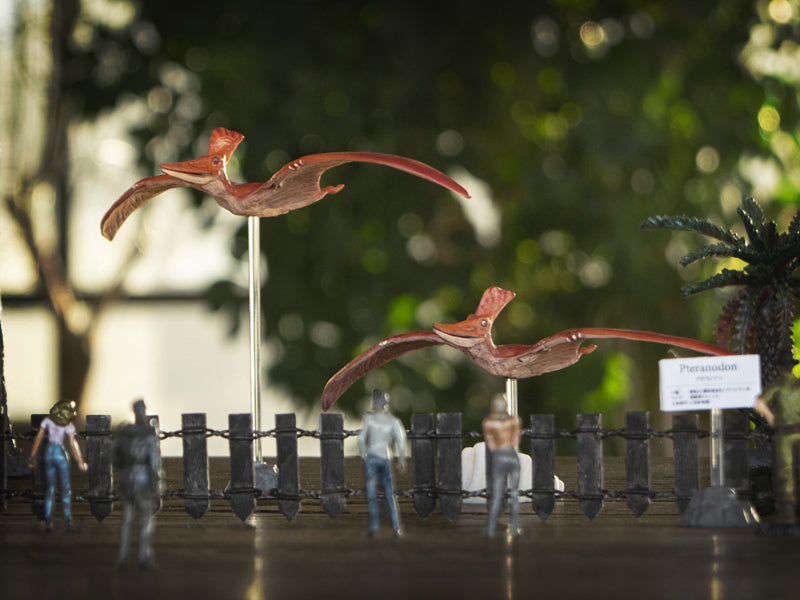 JN_DINO_Info_top_sum_Pteranodo
