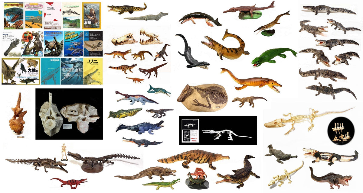 Vol.91 絶滅ワニ形類フィギュア大図鑑 – Favorite official website