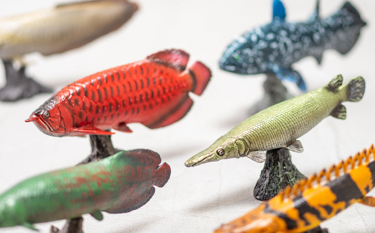 ANCIENT FISH Soft Model – Favorite official website