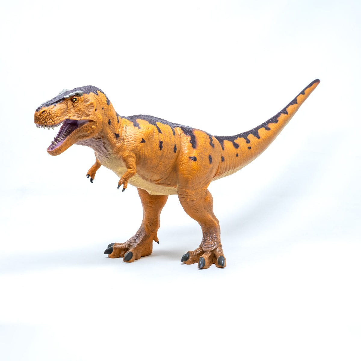 恐竜セット ティラノサウルス など4個　FAVORITECOLLECTION 恐竜セット ティラノサウルス など4個 FAVORITECOLLECTION