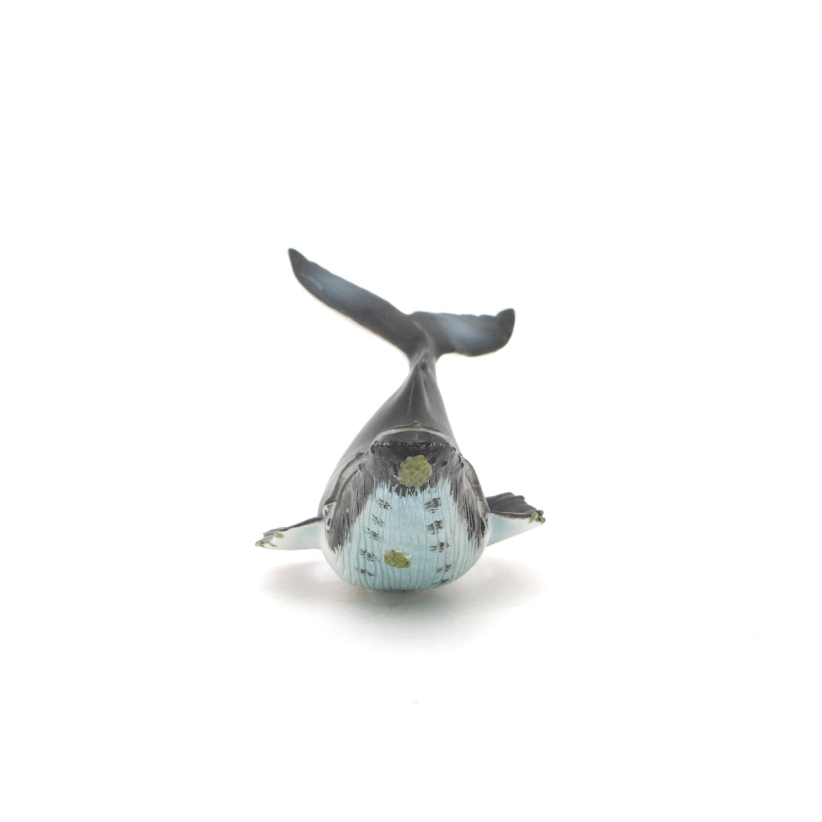 Humpback Whale Soft Model – Favorite official website
