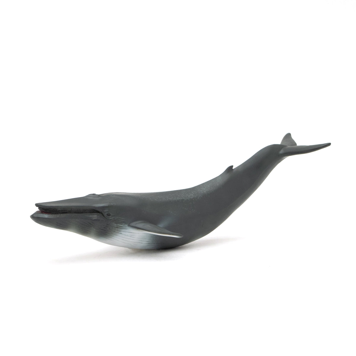 Blue Whale Soft Model – Favorite official website