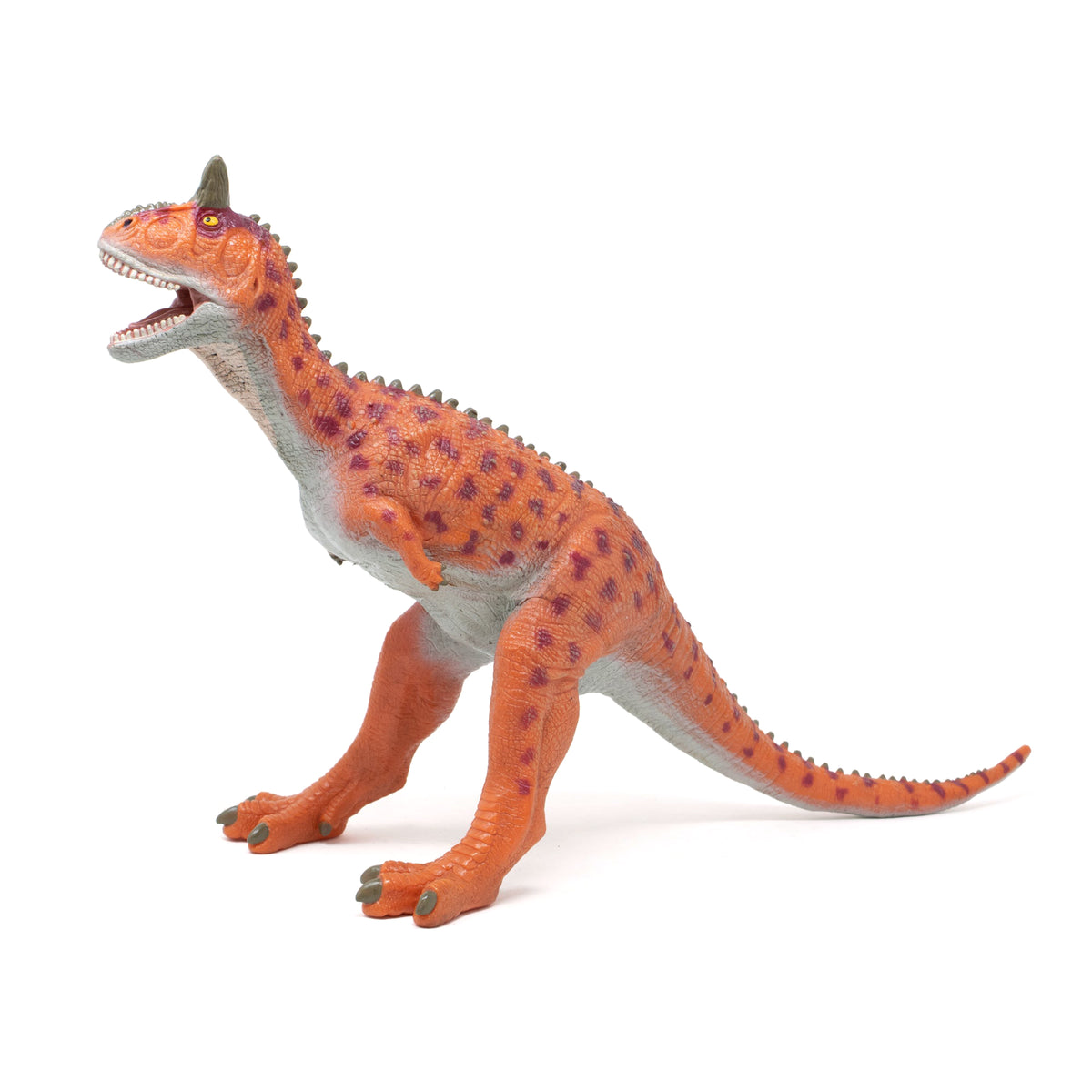 カルノタウルス まとめ売り Favorite｜カルノタウルス ビニールモデル｜愛嬌とリアルな雰囲気が