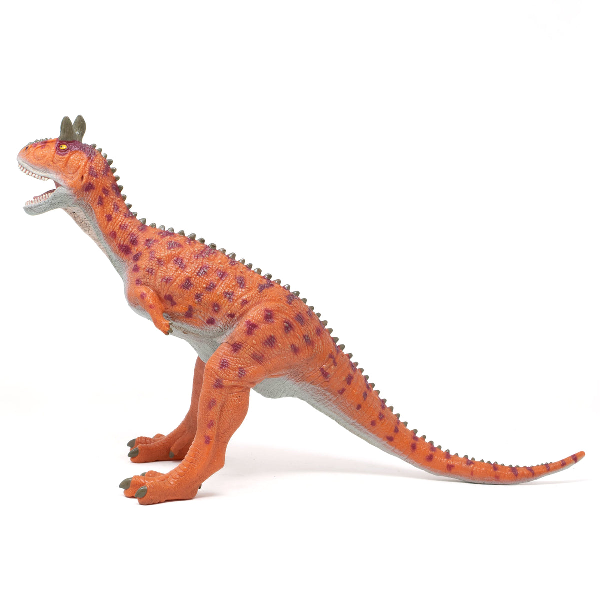 カルノタウルス まとめ売り Favorite｜カルノタウルス ビニールモデル｜愛嬌とリアルな雰囲気が