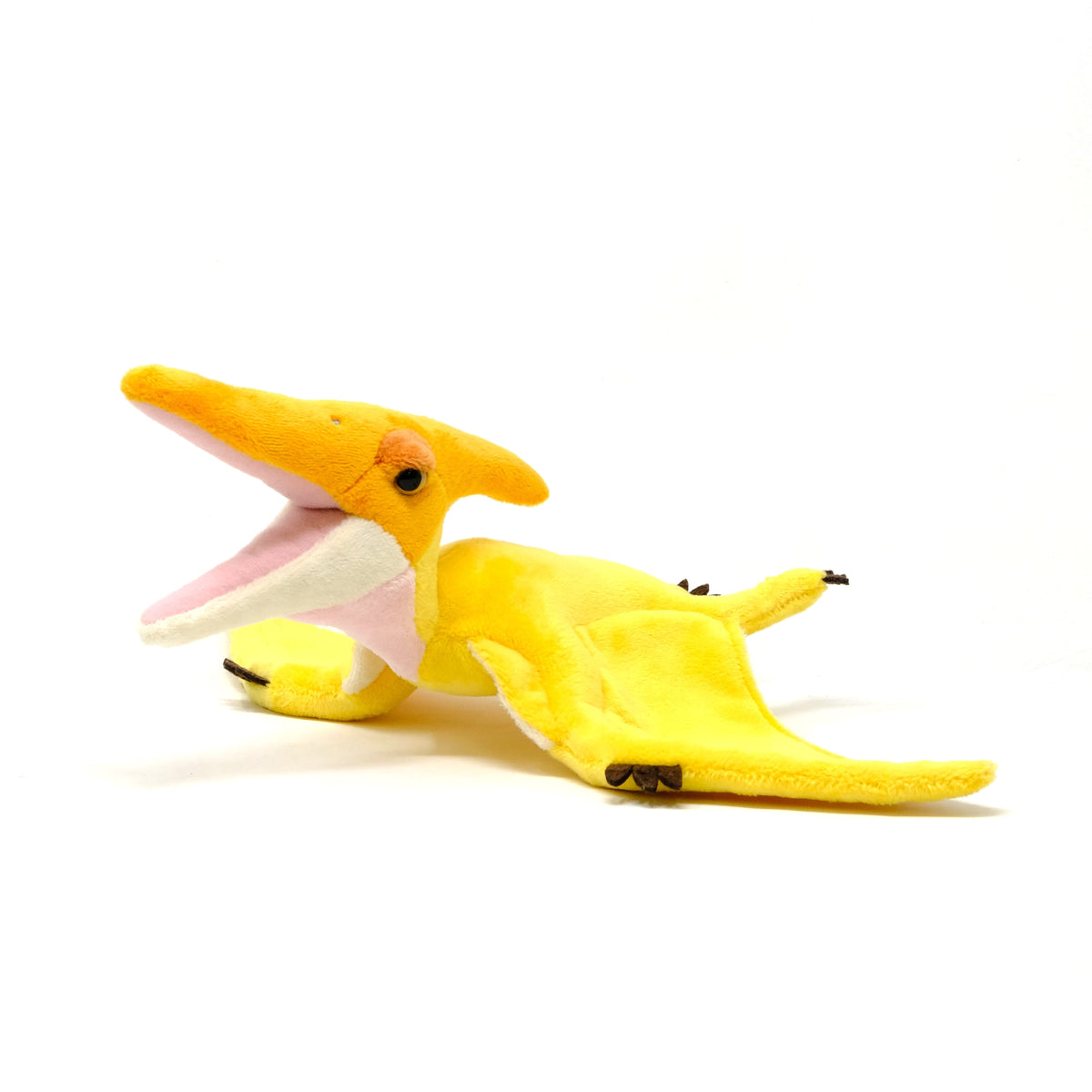Favorite｜プテラノドン スタッフドモデル｜“かわいい”だけじゃない