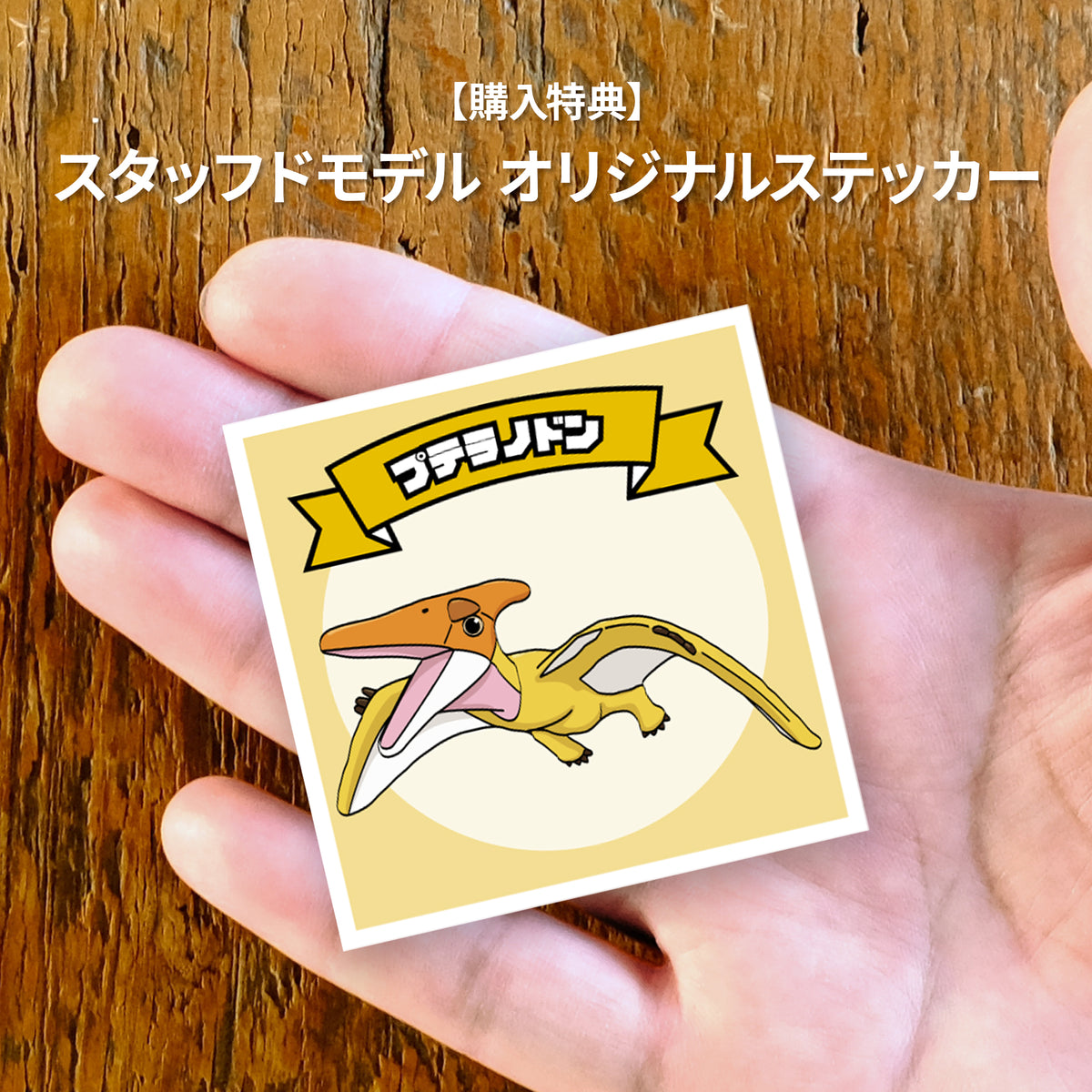 Favorite｜プテラノドン スタッフドモデル｜“かわいい”だけじゃない