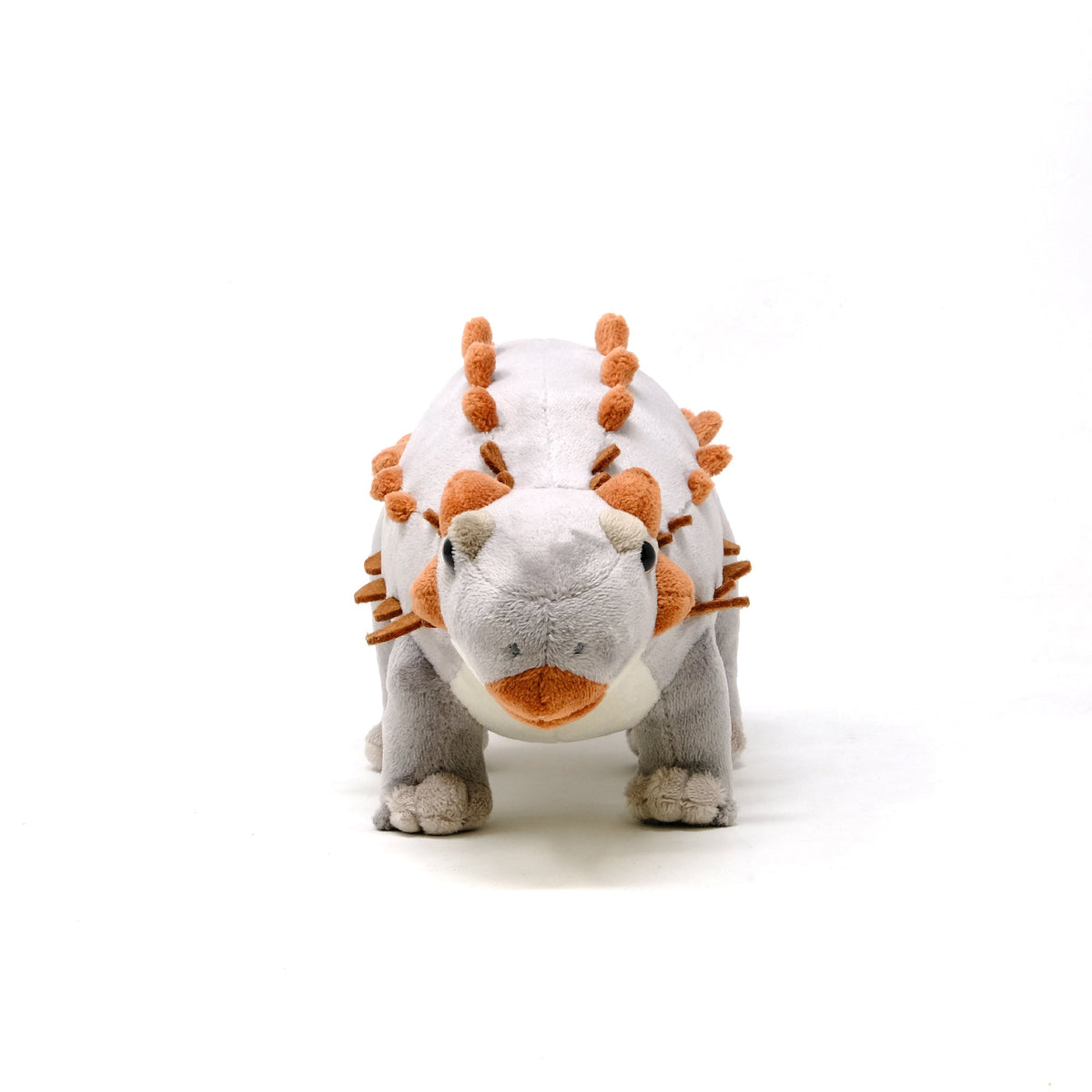 Favorite｜アンキロサウルス スタッフドモデル｜“かわいい”だけじゃ