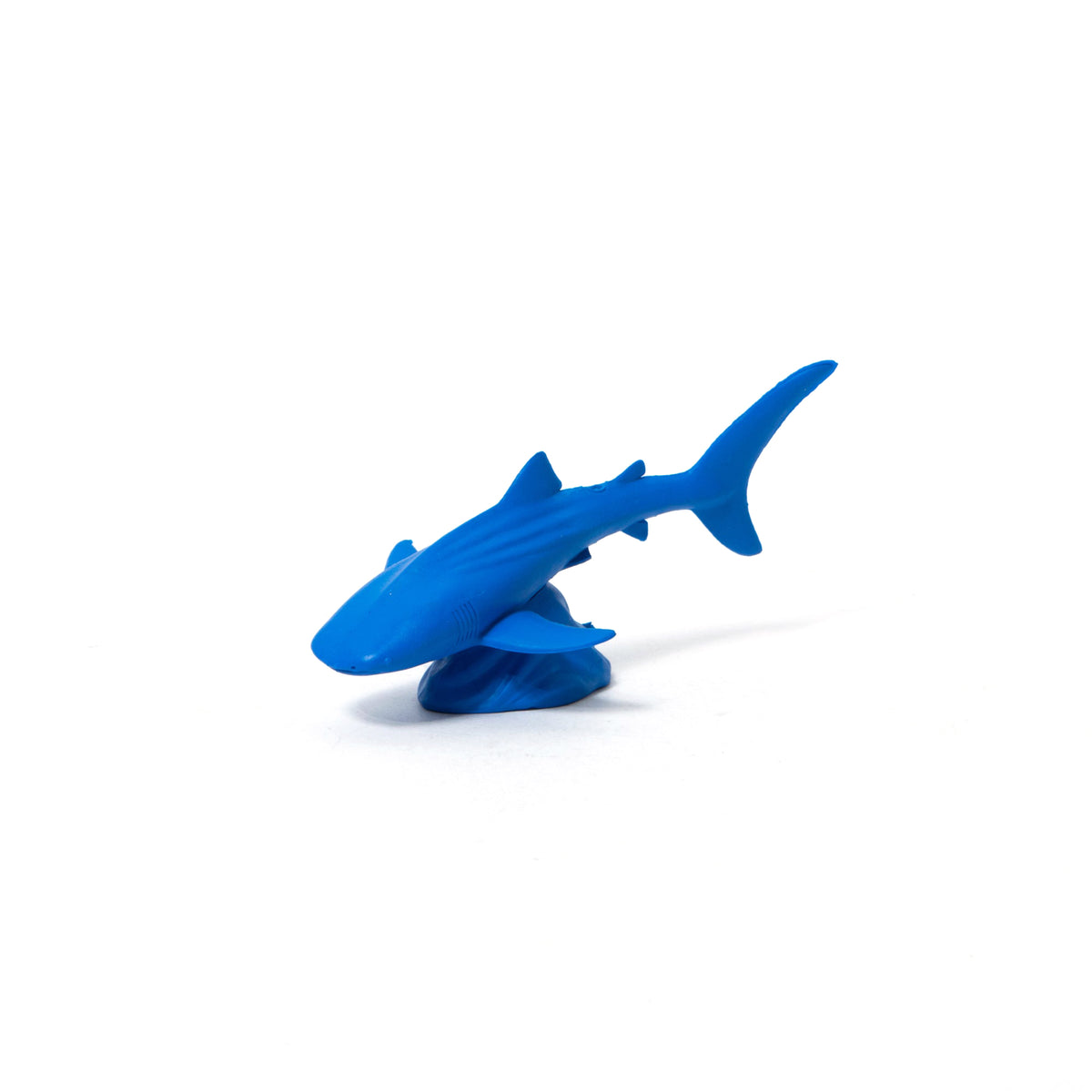 Favorite｜ウミケシ ジンベエザメ ブルー｜海洋生物をリアルに再現した