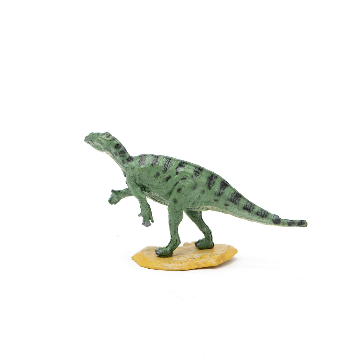 Fukuisaurus Mini Model – Favorite official website