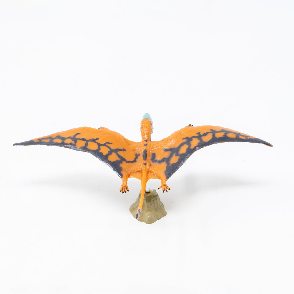 
                  
                    Load image into Gallery viewer, Dimorphodon Soft Model
                  
                