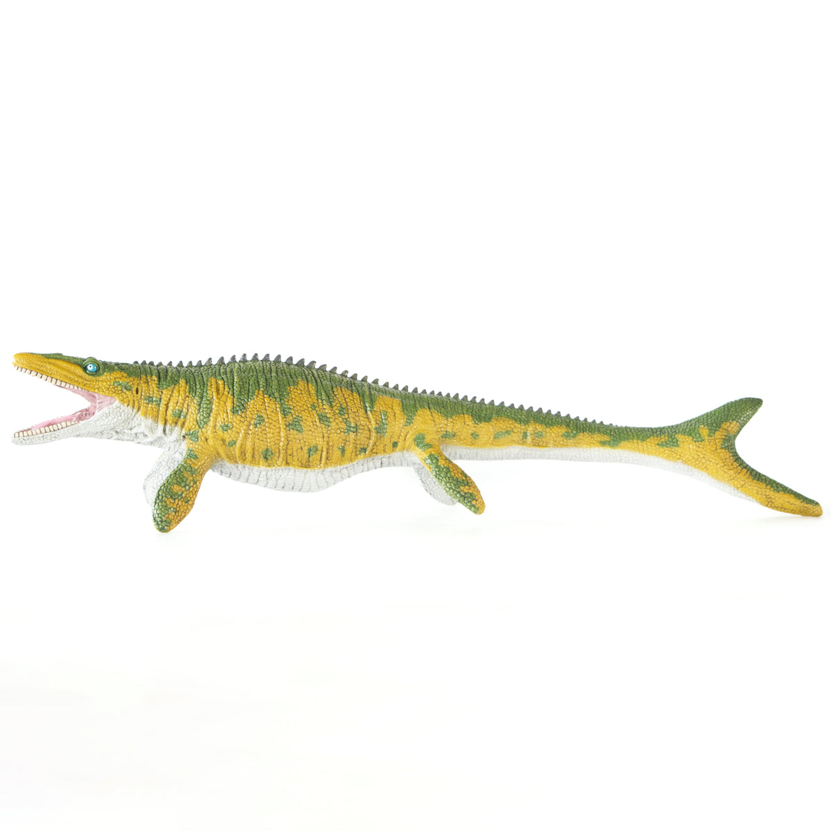Dinosaur Soft Model Box_02 – Favorite official website