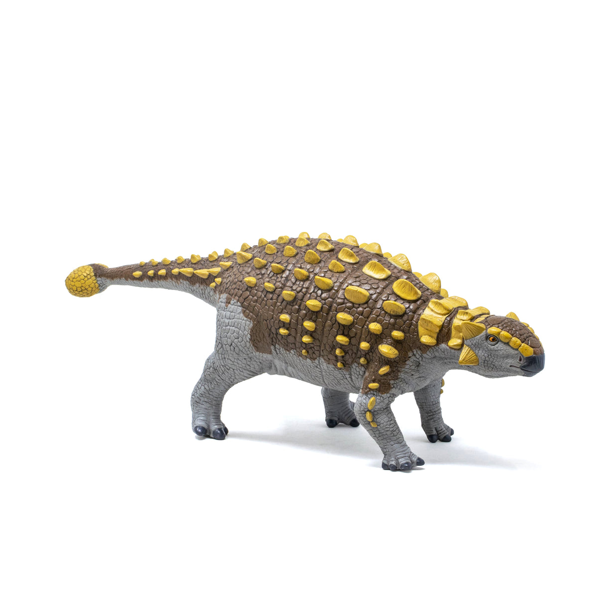 Favorite｜アンキロサウルス ビニールモデル プレミアムエディション