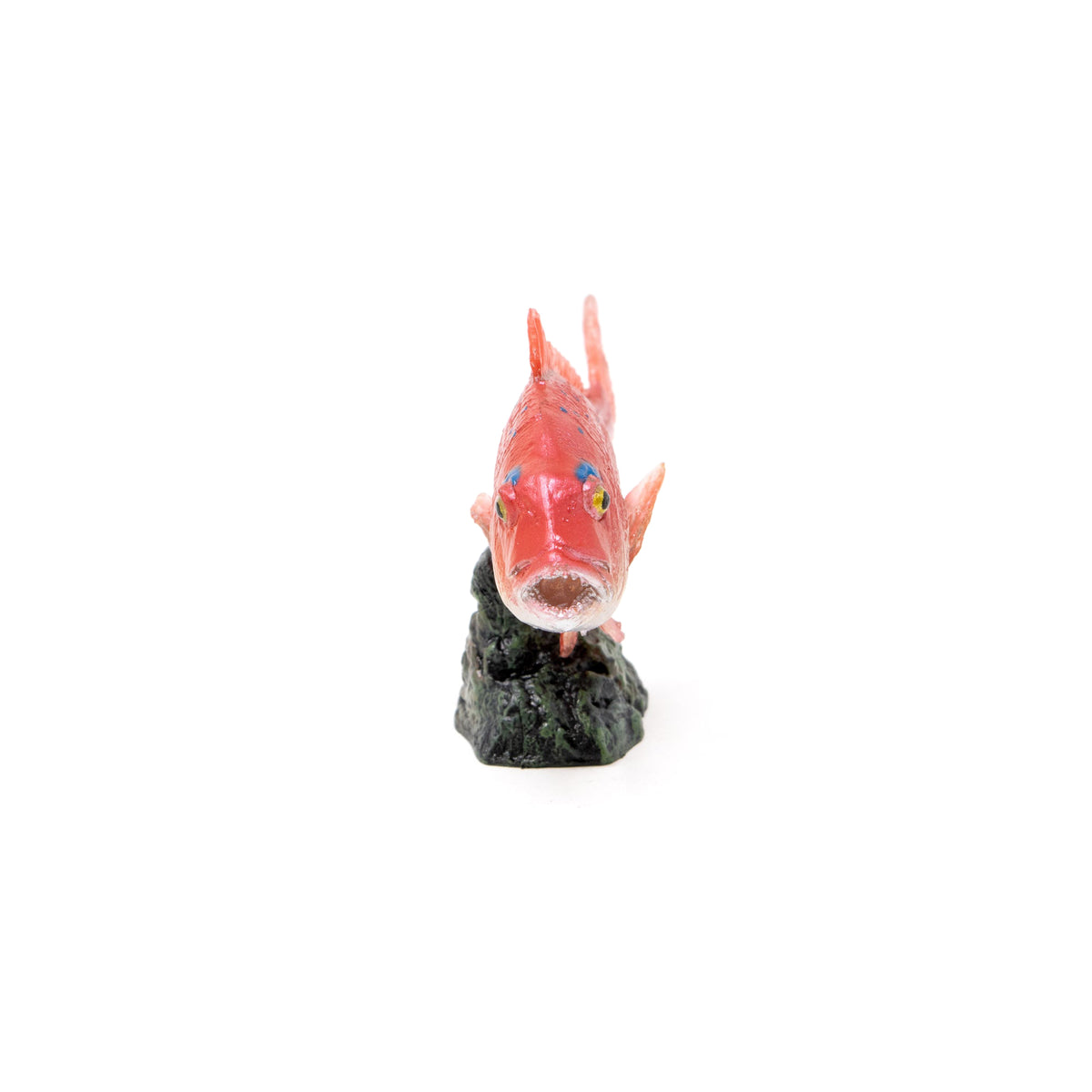 Favorite｜マダイ ミニモデル｜手のひらに広がる魚の世界