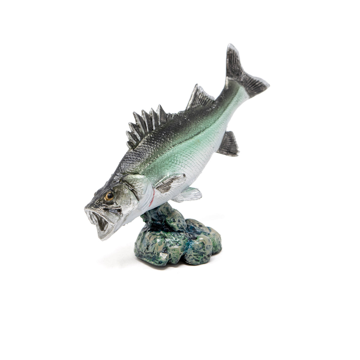 Favorite｜スズキ ミニモデル｜手のひらに広がる魚の世界