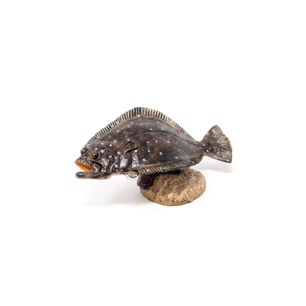 Favorite｜ヒラメ ミニモデル｜手のひらに広がる魚の世界