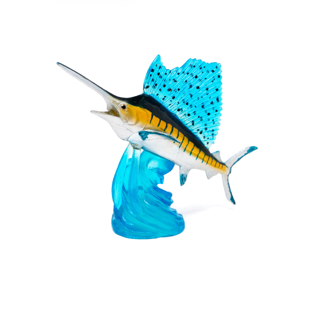 海*貝様 【最終在庫】　美品　東シナ海産　蓋付き　ガンセキバショウ　10点セット Favorite｜バショウカジキ ミニモデル｜手のひらに広がる魚の世界
