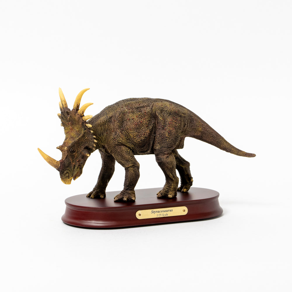 Styracosaurus Desktop Model