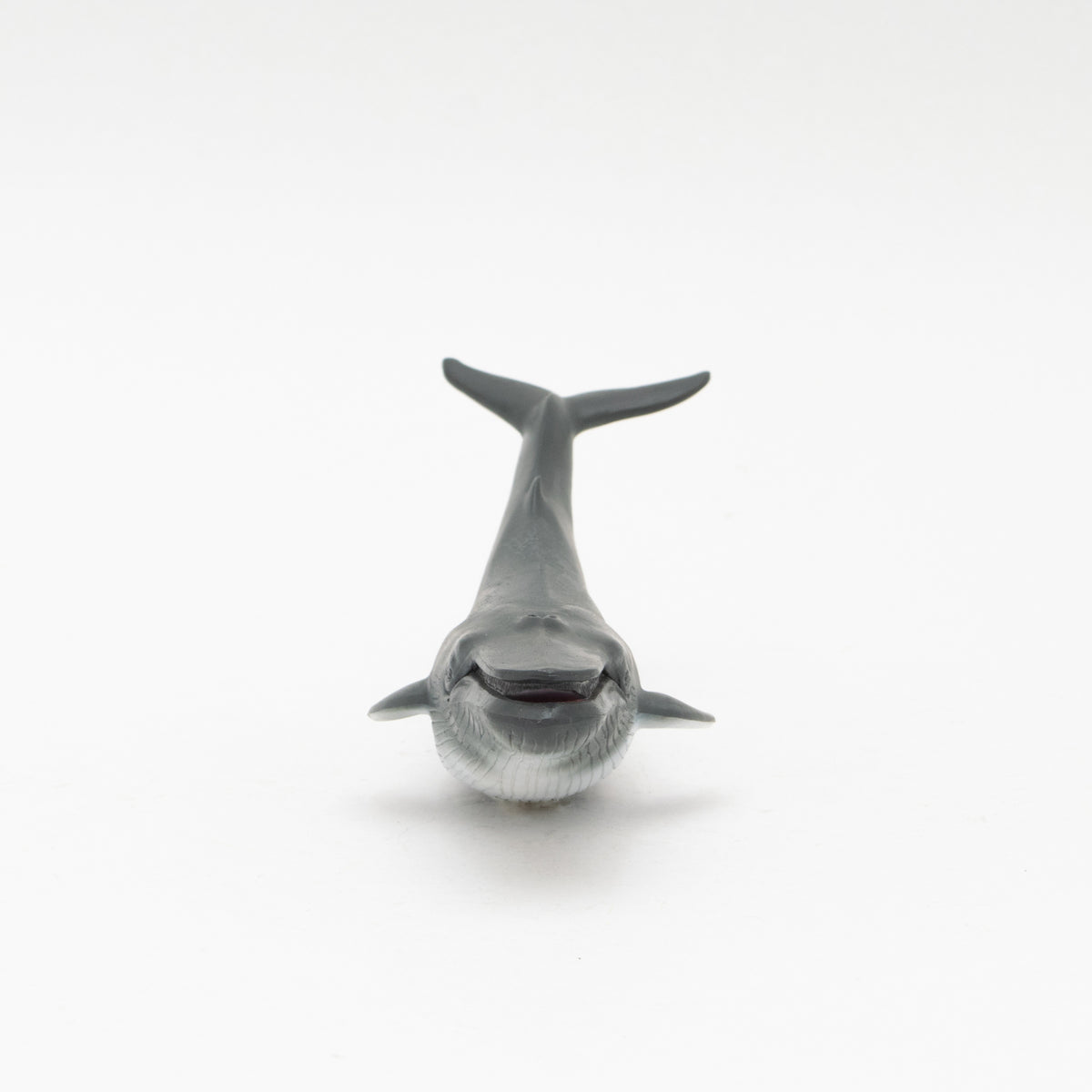 Blue Whale Soft Model – Favorite official website