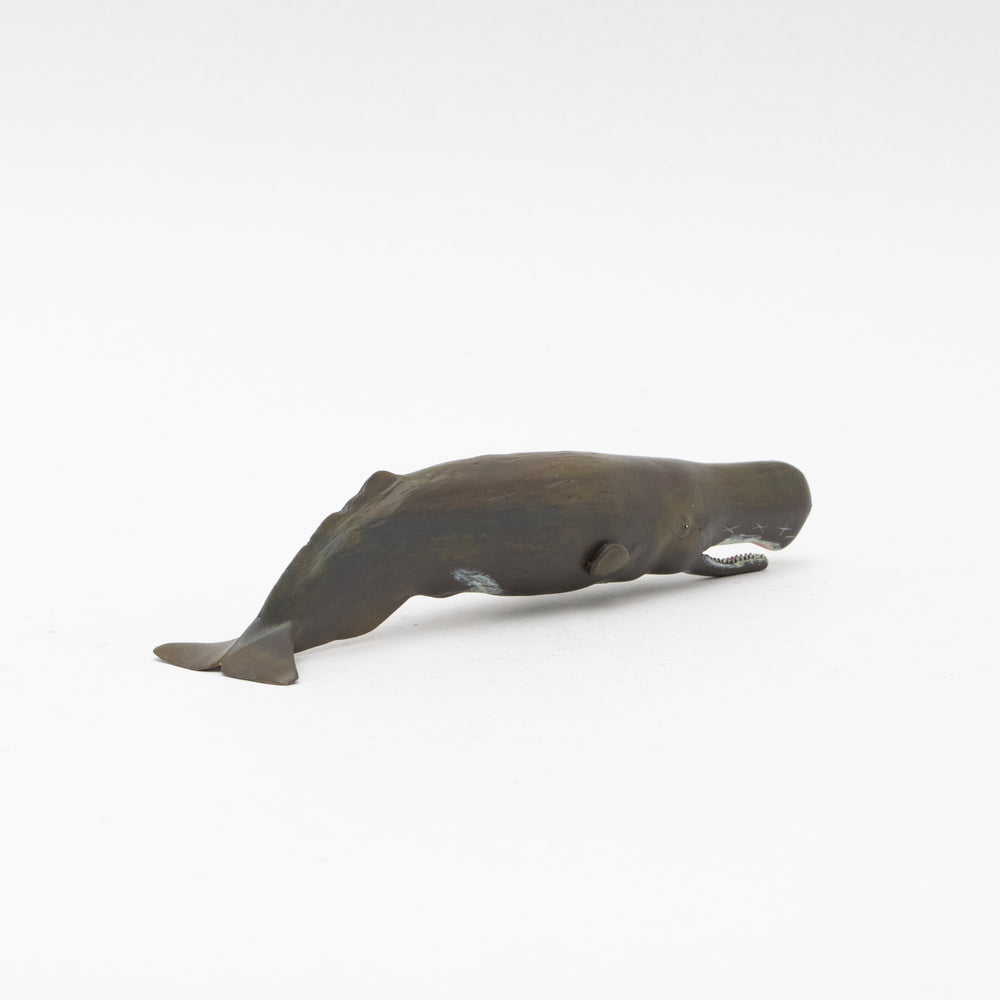 
                  
                    Load image into Gallery viewer, Sperm Whale Soft Model
                  
                