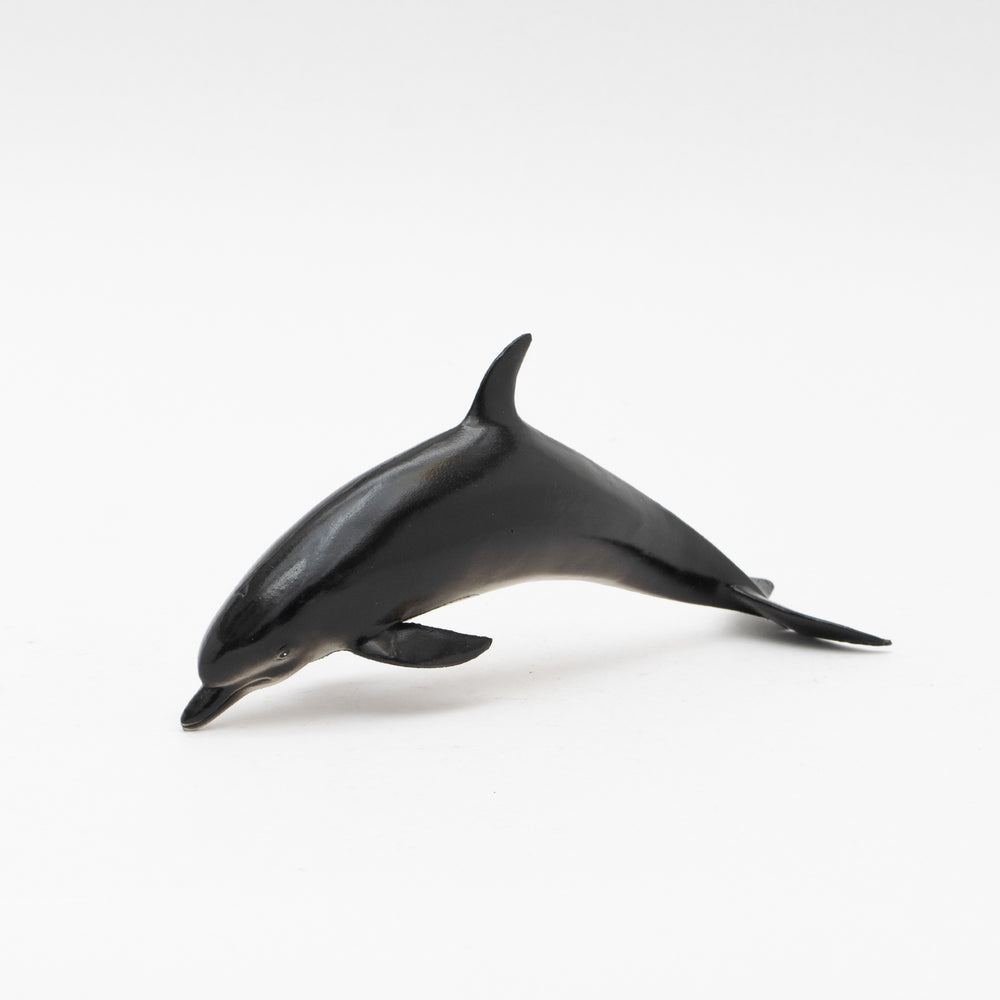 Bottlenose Dolphin Soft Model
