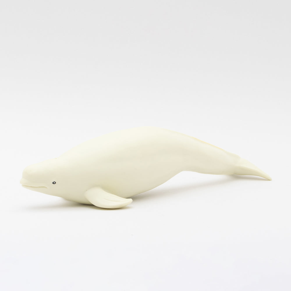 Beluga Dolphin Vinyl Model