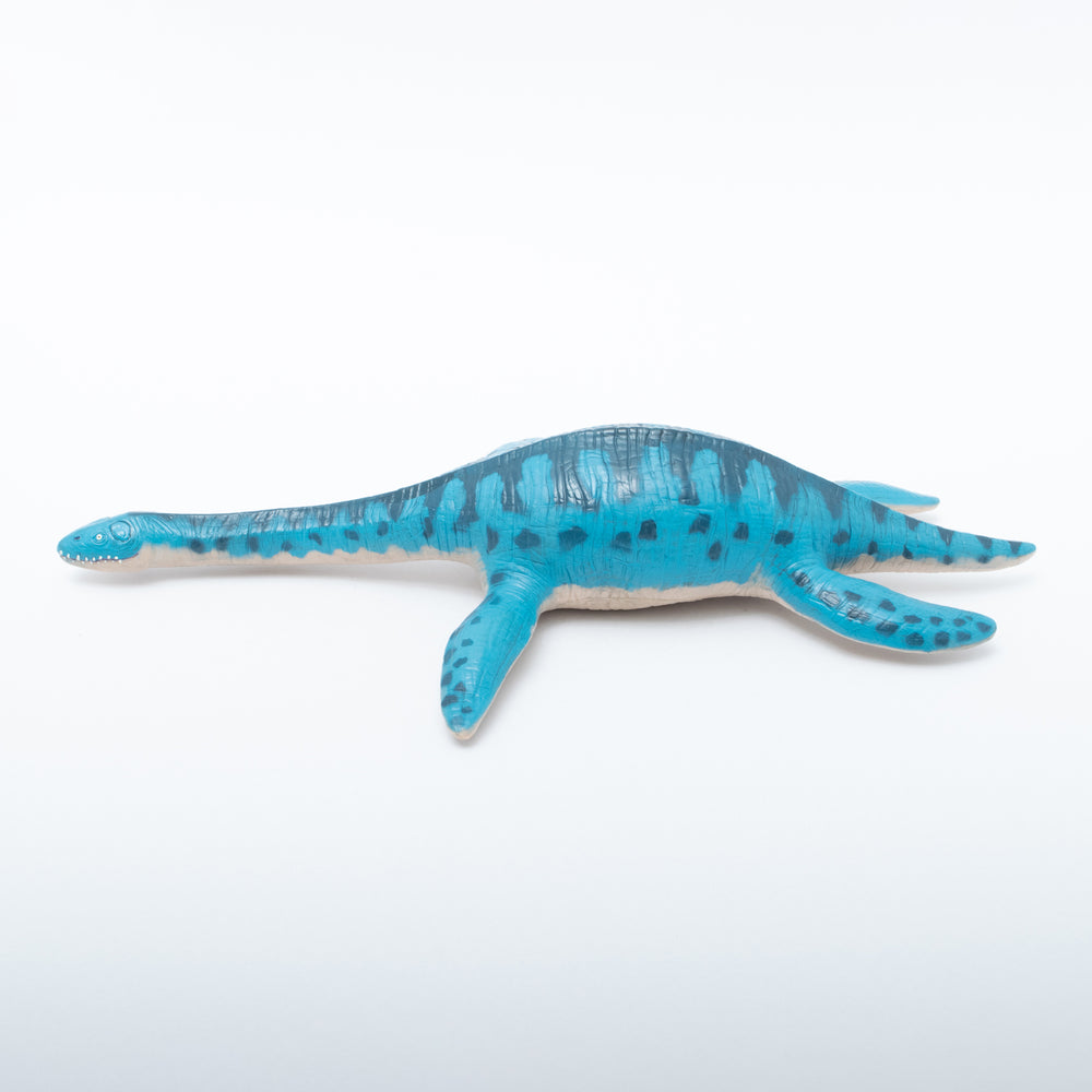 
                  
                    Load image into Gallery viewer, Plesiosaurus Vinyl Model
                  
                