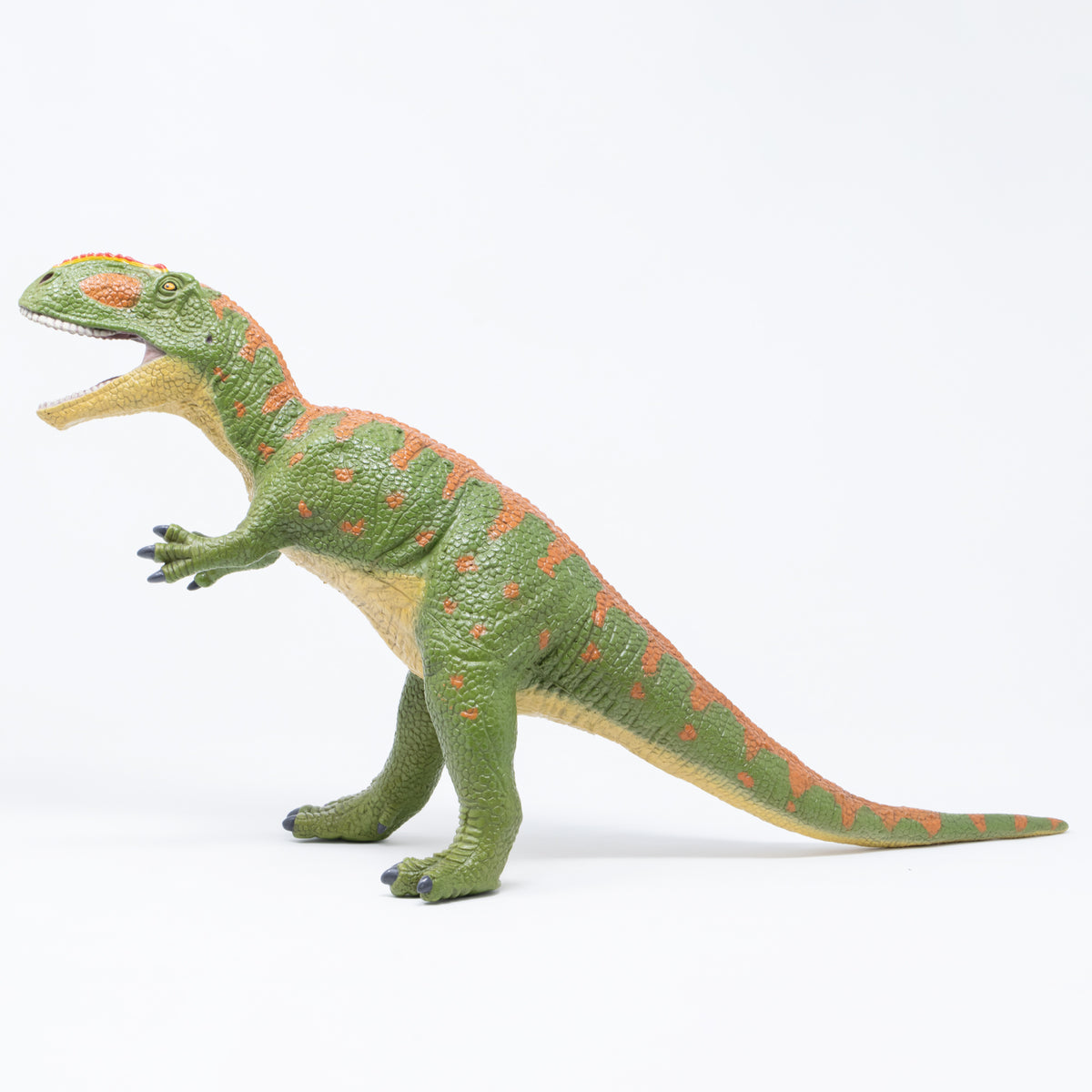 Favorite｜ギガノトサウルス ビニールモデル｜愛嬌とリアルな雰囲気が 