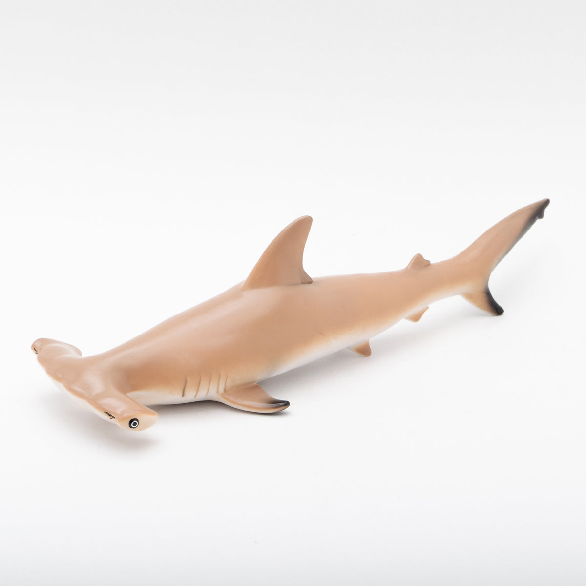 アカシュモクザメ ビニールモデル(FM-310) Favorite｜アカシュモクザメ ビニールモデル｜愛嬌とリアルな