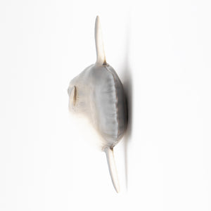 
                  
                    Load image into Gallery viewer, Ocean Sunfish Vinyl Model
                  
                