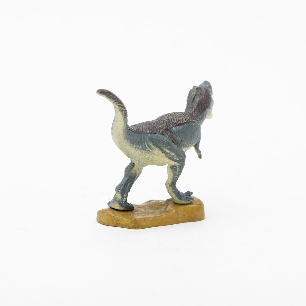 
                  
                    Load image into Gallery viewer, Fetherd T-rex Mini Model
                  
                