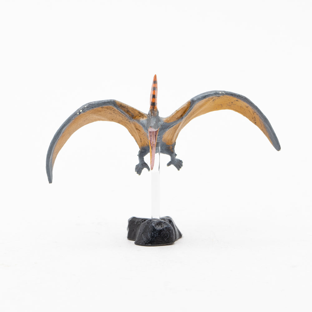 
                  
                    Load image into Gallery viewer, Pteranodon Mini Model
                  
                