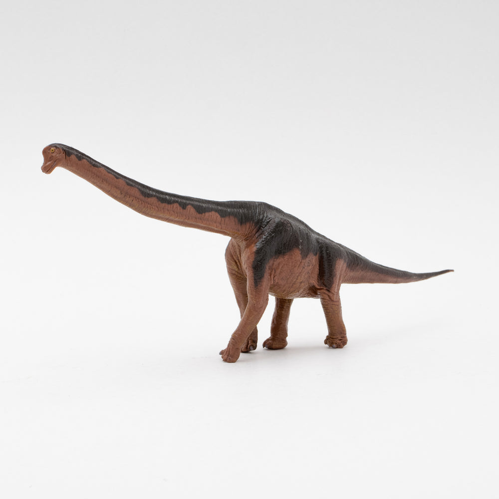 ブラキオサウルス ソフトモデル