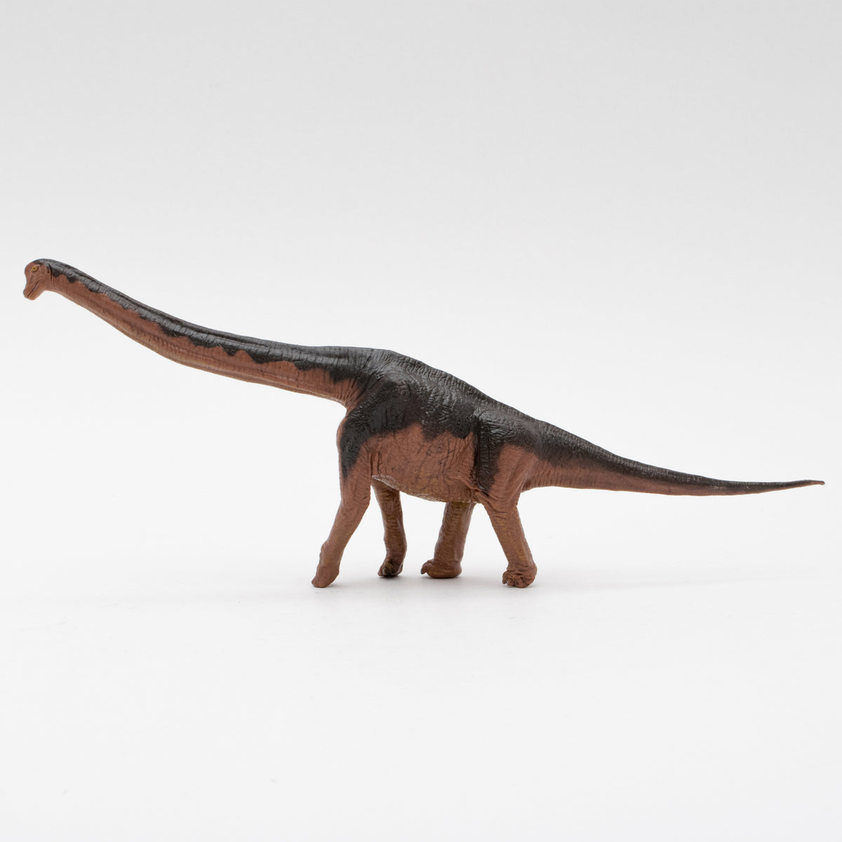 Brachiosaurus Soft Model – Favorite official website