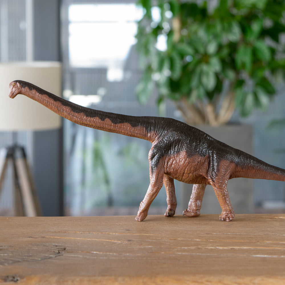 
                  
                    Load image into Gallery viewer, Brachiosaurus Soft Model
                  
                