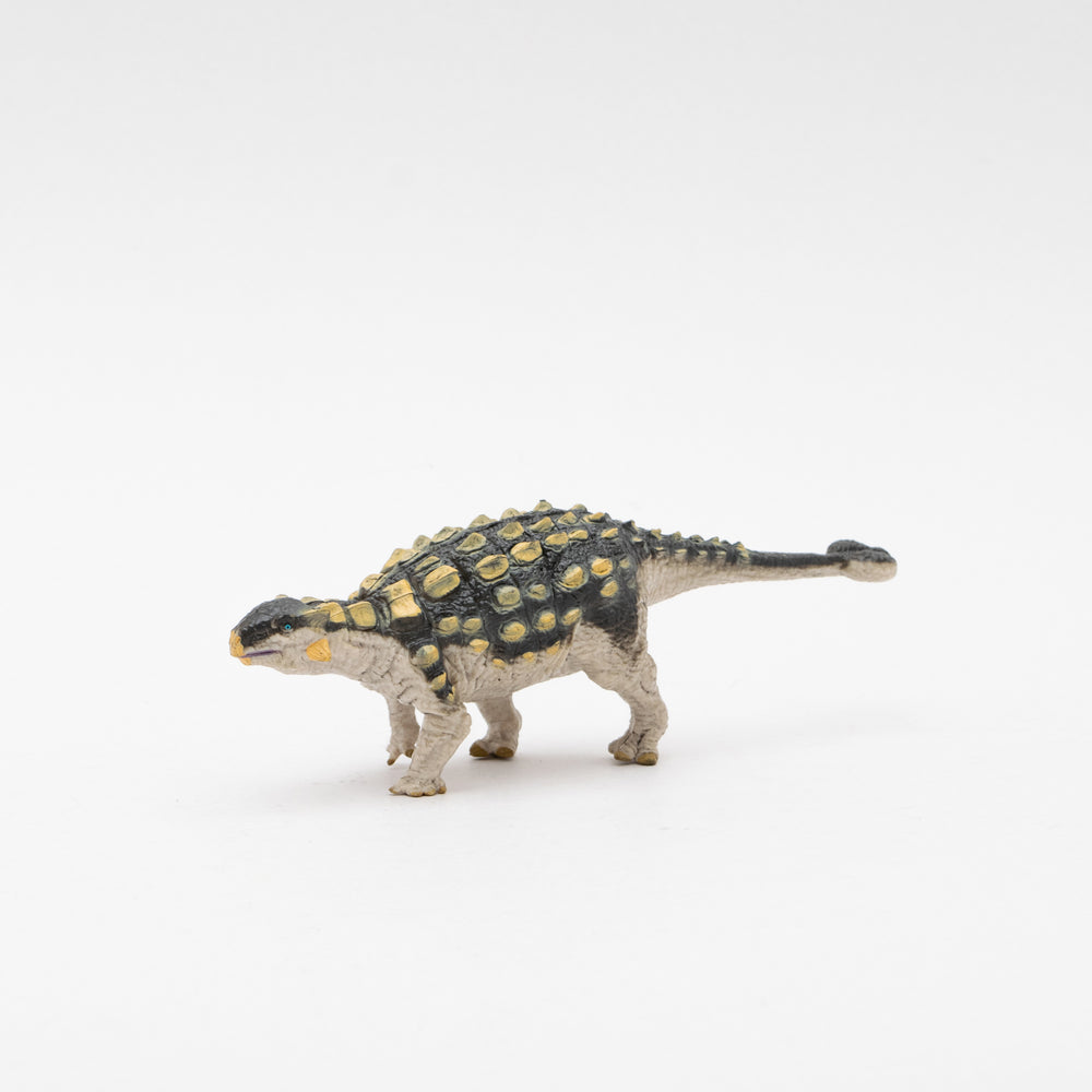 Ankylosaurus Soft Model