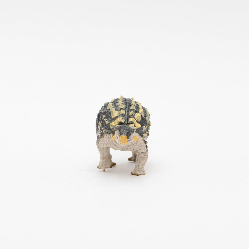 
                  
                    Load image into Gallery viewer, Ankylosaurus Soft Model
                  
                