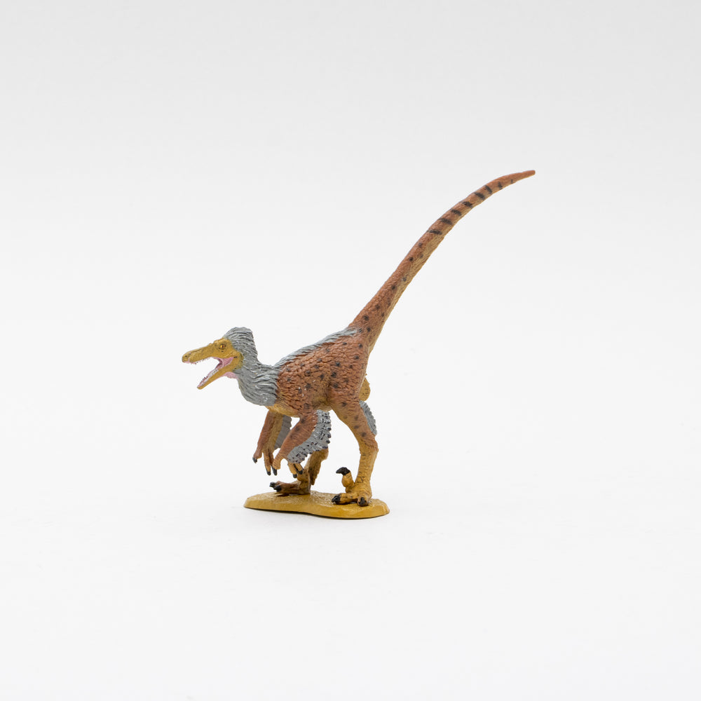 Velociraptor Soft Model