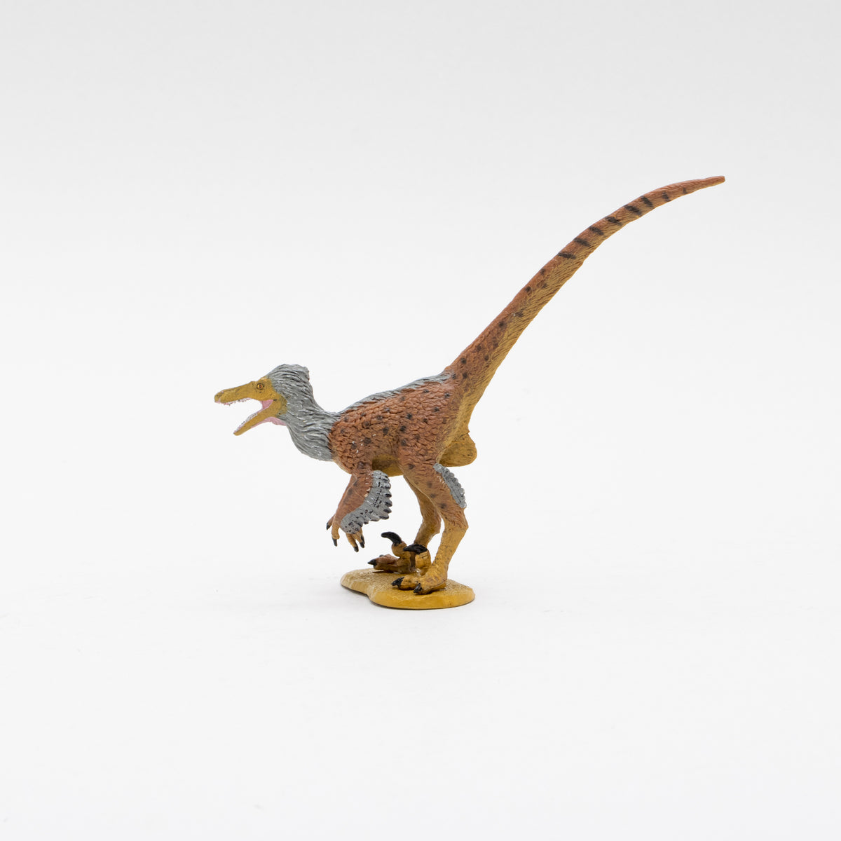 FAVORITE COLLECTION SKULL&JAWS Tyrannosaurus Velociraptor 