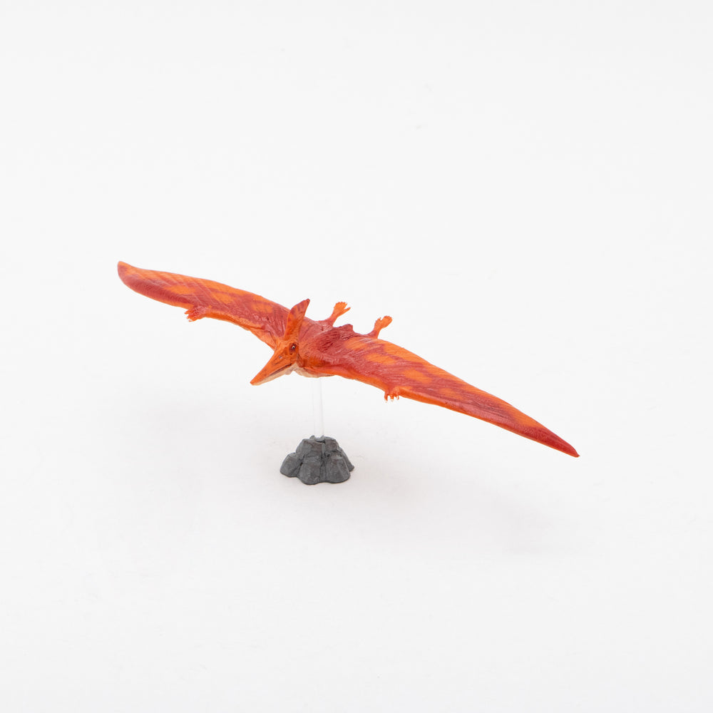 Pteranodon Soft Model