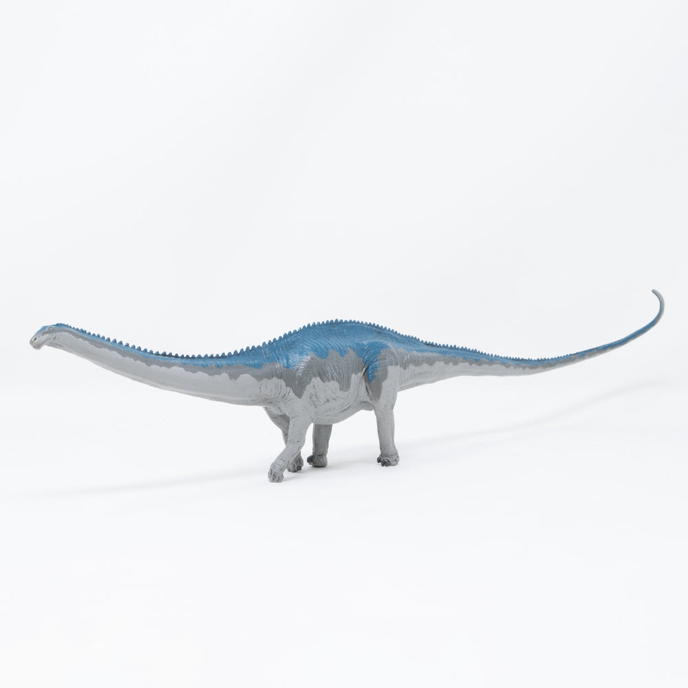 Diplodocus Soft Model