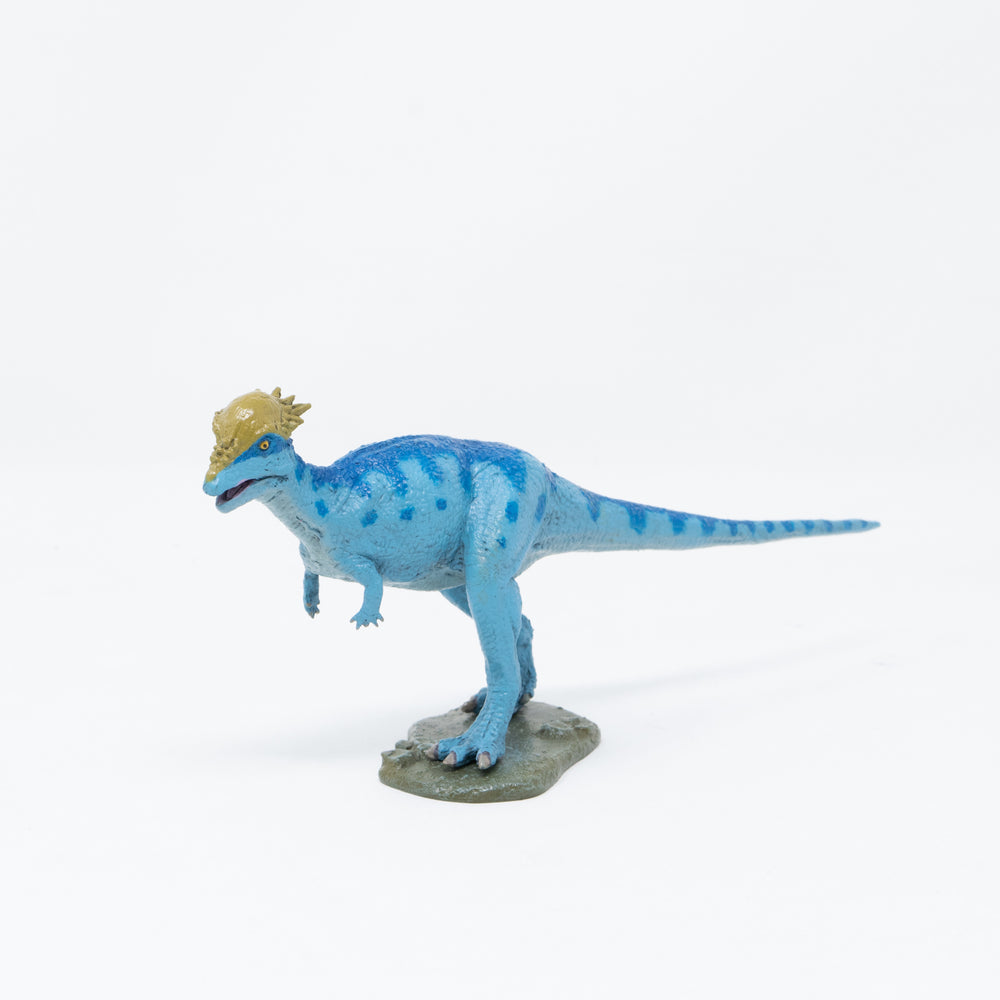 Pachycephalosaurus Soft Model