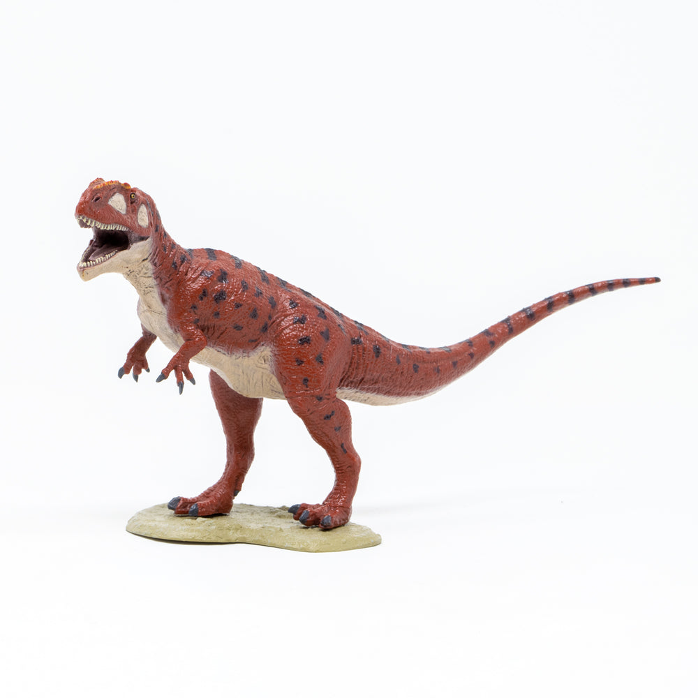 Giganotosaurus Soft Model