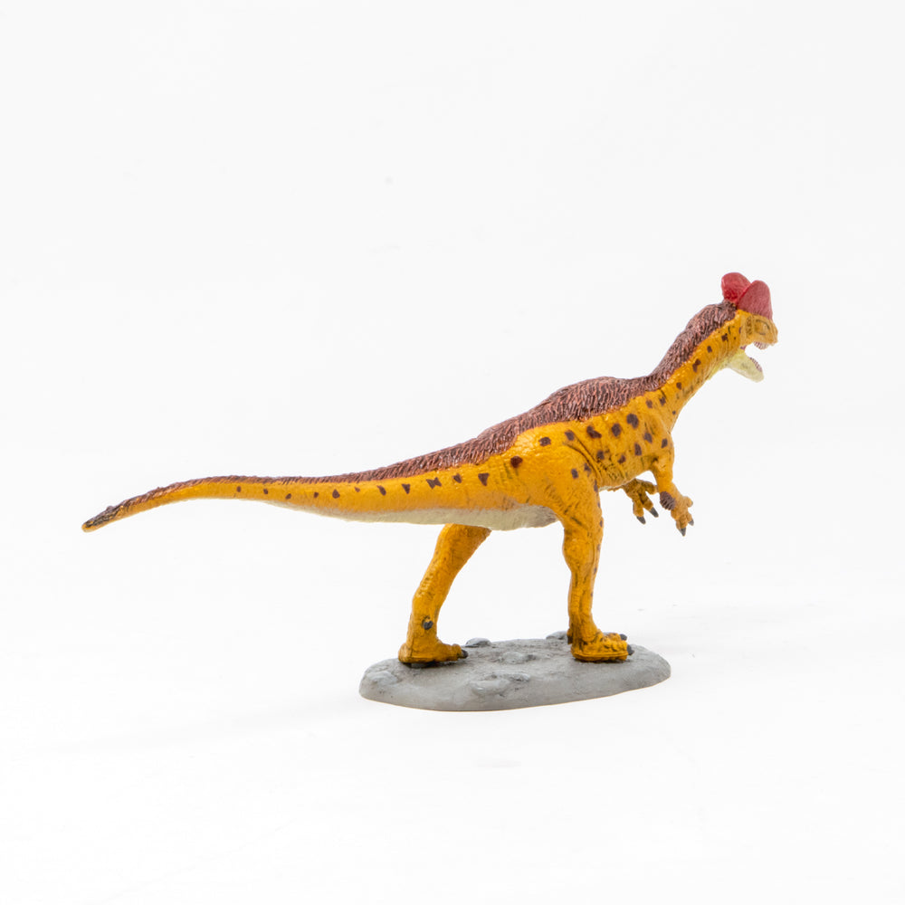 
                  
                    Load image into Gallery viewer, Dilophosaurus Soft Model
                  
                