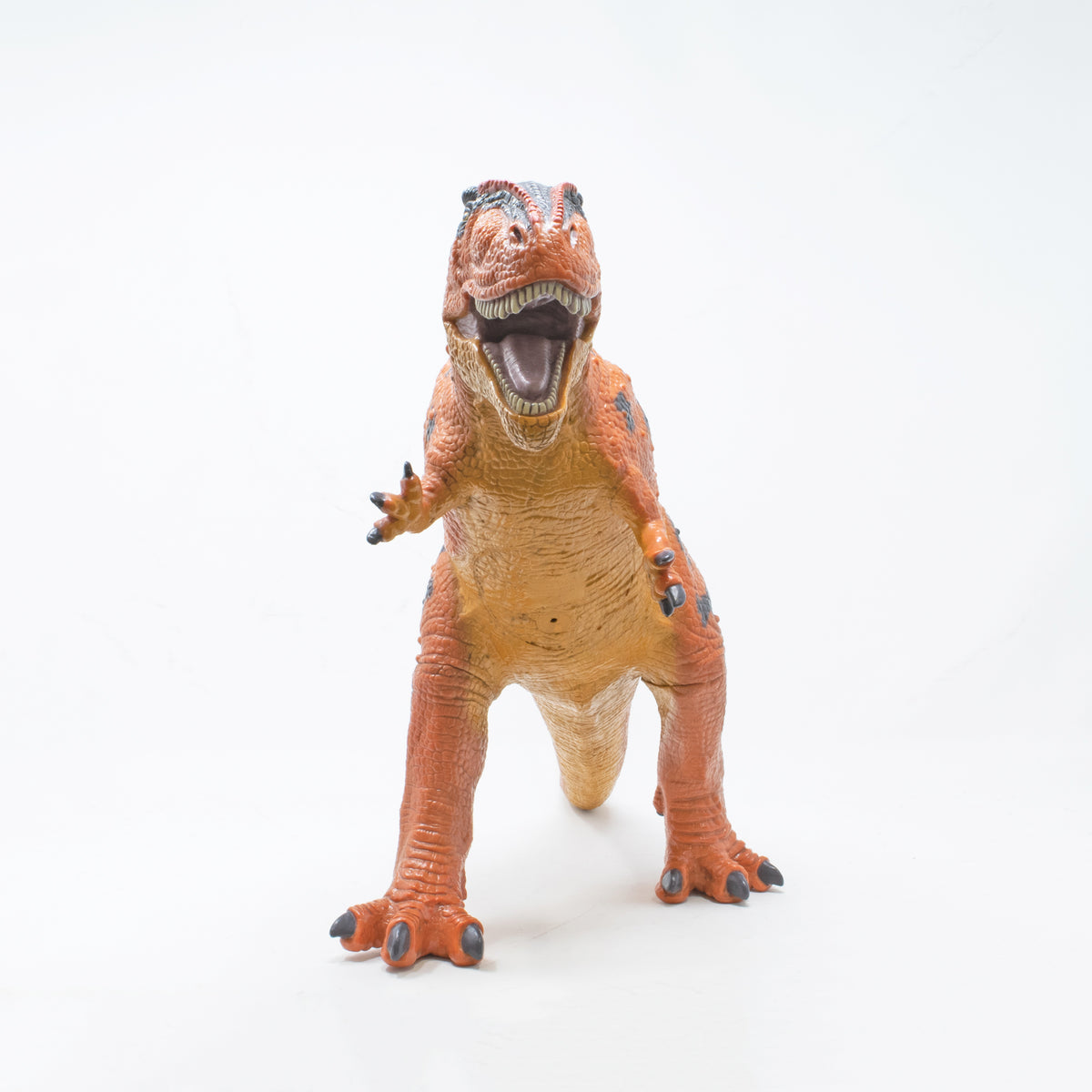 Favorite｜ギガノトサウルス ビニールモデル プレミアム