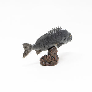 
                  
                    Load image into Gallery viewer, Black Sea Bream Mini Model
                  
                