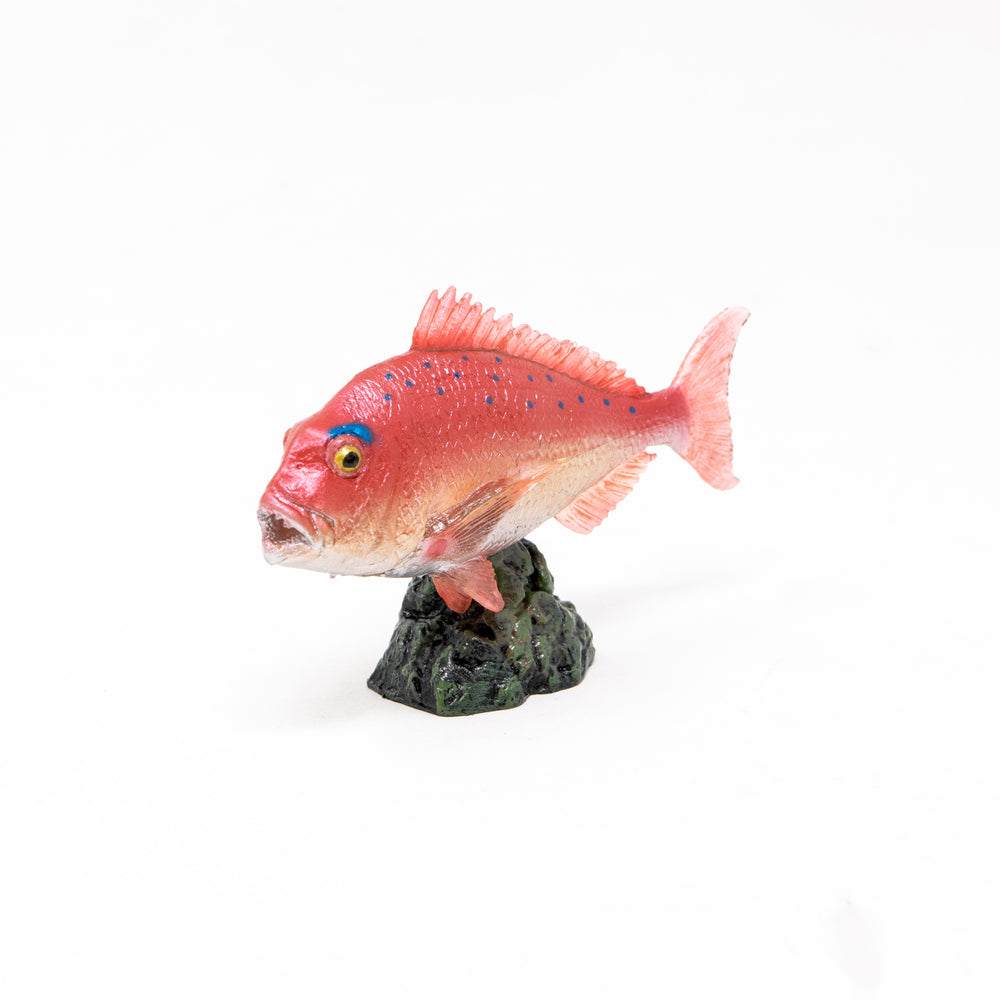 Red Sea Bream Mini Model